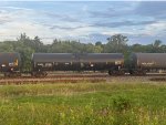 CBTX 737412